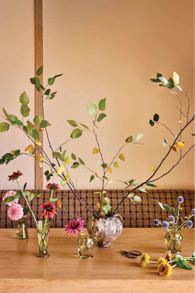 Decorative plants