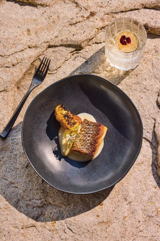 fish dish with cocktail