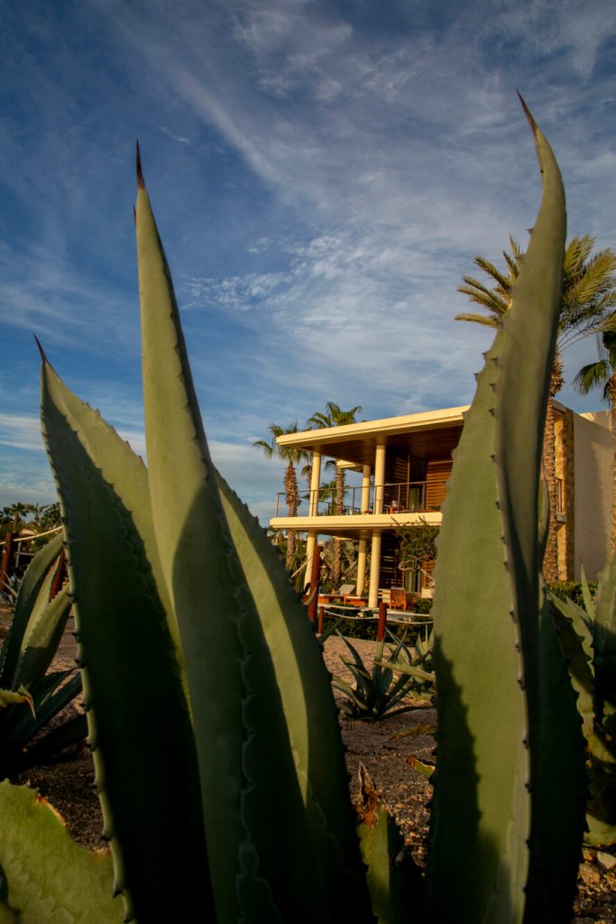 Chileno Bay Resort