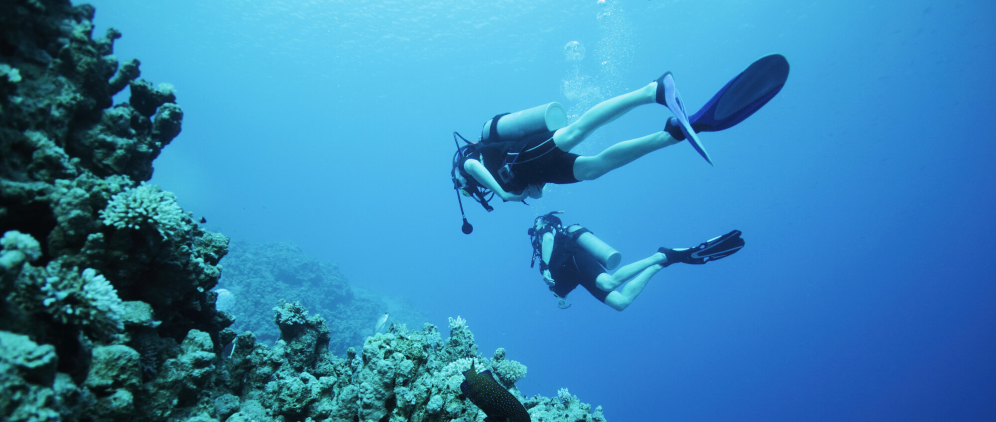 2 people scuba diving